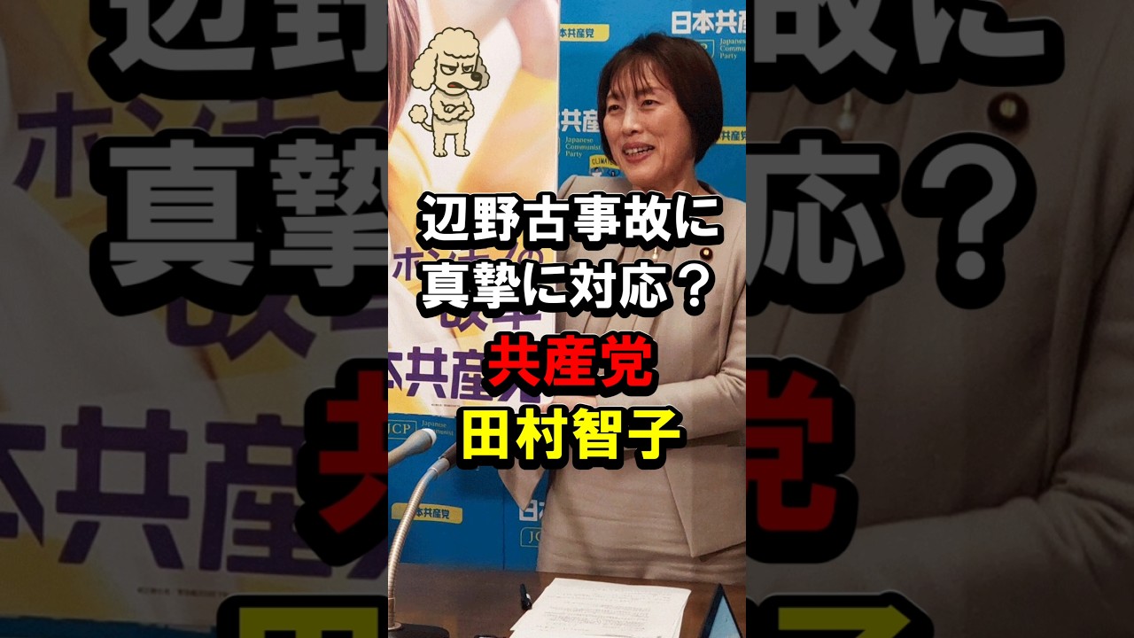 辺野古事故に真摯に対応？共産党田村智子 #沖縄 #転覆事故 #平和丸 #船長 #日本共産党
