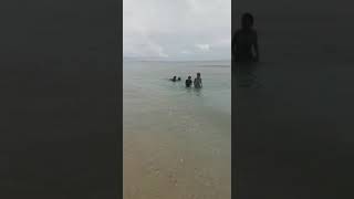 preview picture of video 'Pantai Anggopi'