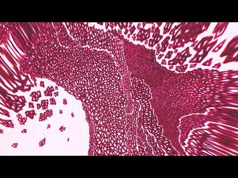 Malena Zavala - Pasos De La Luna (Official Audio)