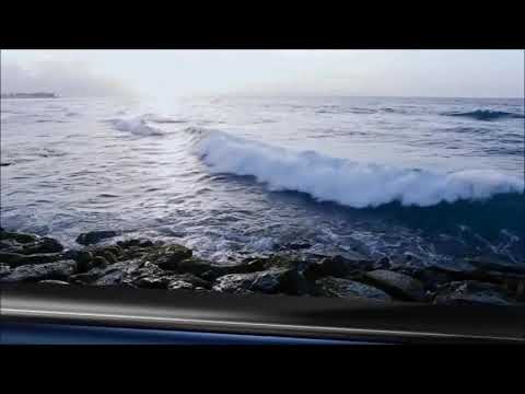 Honor 7x launch, First look