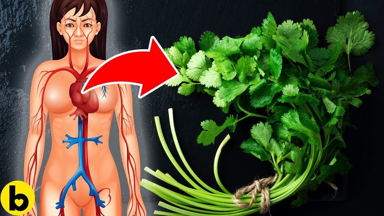 Eating Coriander Will Do This To Your Body