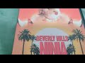 BEVERLY HILLS NINJA DVD Overview