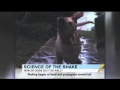 The Science Of The Shake