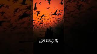 أواخر سورة النجم بصوت محمد صديق المنشاوي