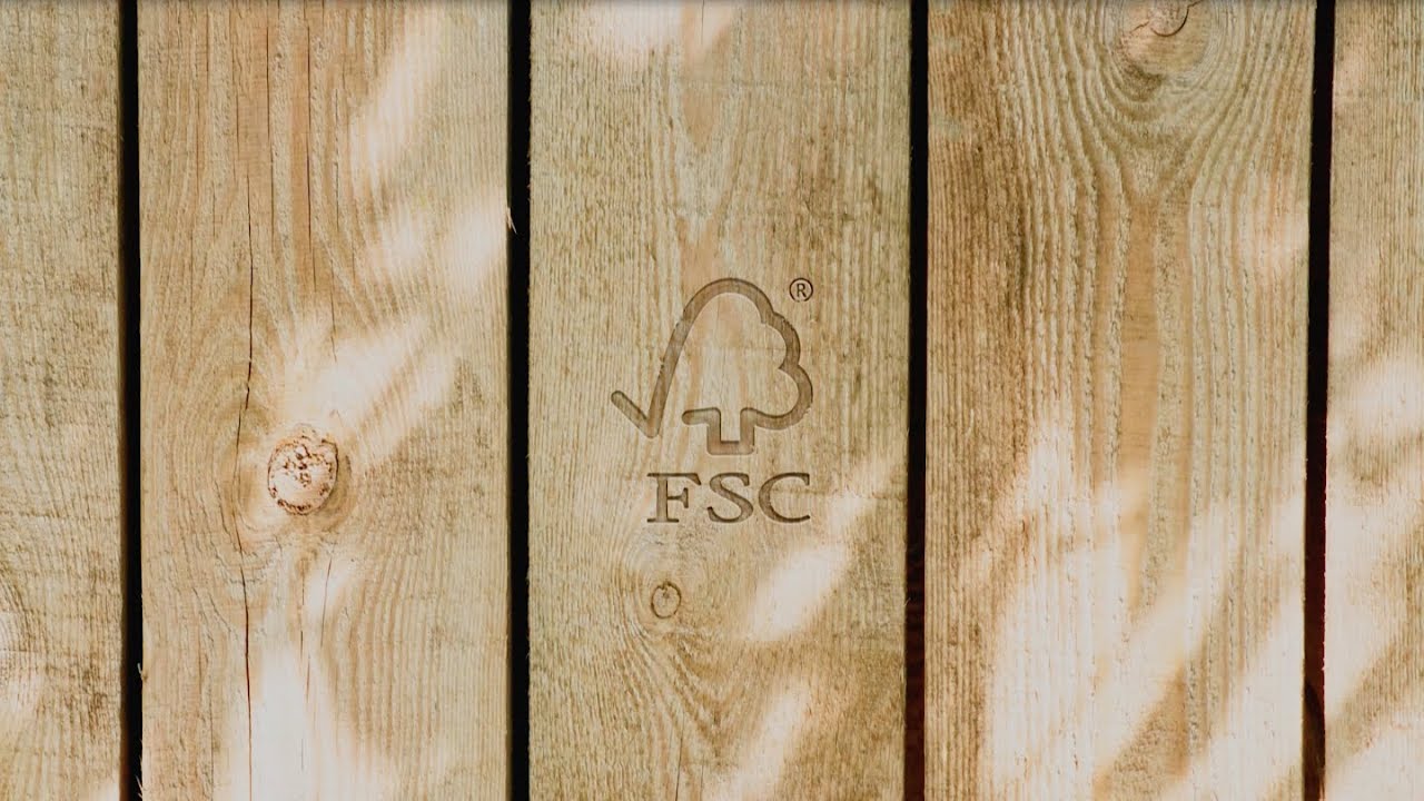 Você conhece o selo FSC?