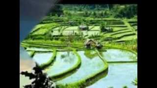 Bahasa Matahari - Ebiet G Ade