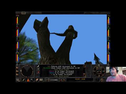 Wizardry 8: New Nations?