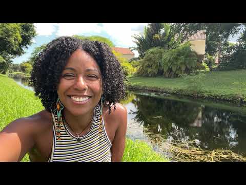 Mayan Astrology | Trecena of Imox: Collective Soup