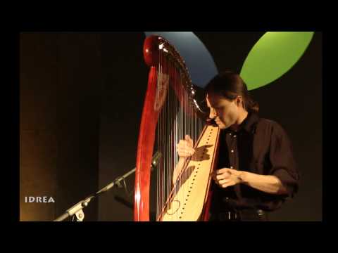 TRISTAN LE GOVIC - Harp-Concert - 7. Interkeltisches Folkfestival 2013, Hofheim/Germany