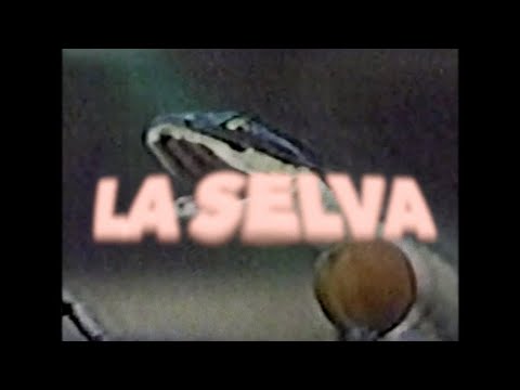 Cabaret Contemporain -  La Selva (Boston 168 Remix) - [Official Video]