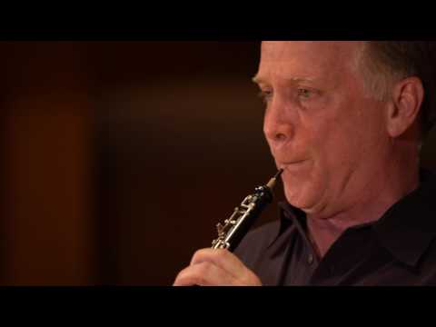 What does an oboe sound like? (Ode to Joy)