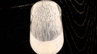 コップの中の大自然