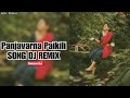 Panjavarana Paikili Penne Malayalam Song DJ REMIX ADK RICHU