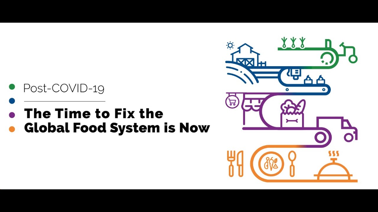 The Time to Fix the Global Food System is Now - 10 Actions From Farm to Fork