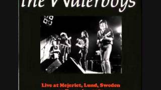 Waterboys - Girl from the north country live in sweden 89.