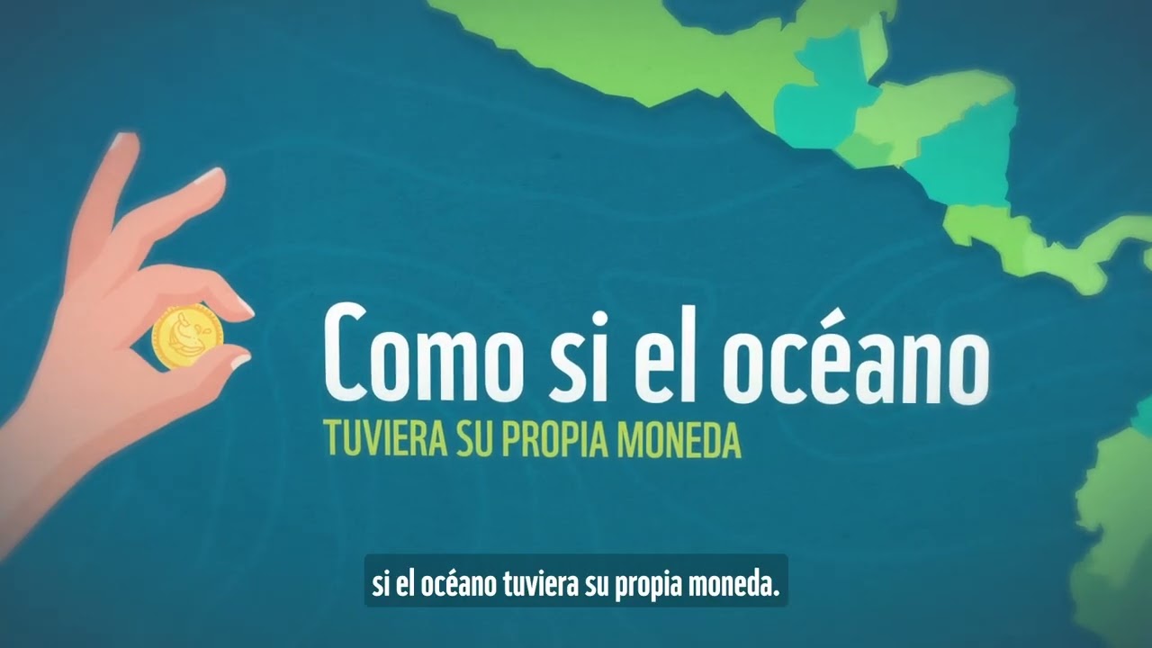 ¿Qué son los mecanismos financieros para la economía azul? | Soluciones para un océano sostenible