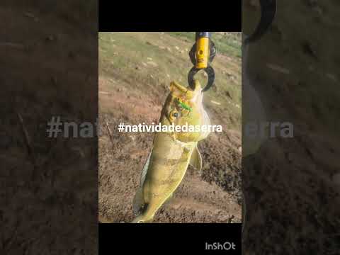 #pescaria #natividadedaserra #iscasferrinho