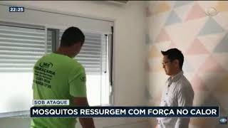 Tela Mosquiteira para Janelas para Proteger dos Insetos - Reportagem na BAND TV