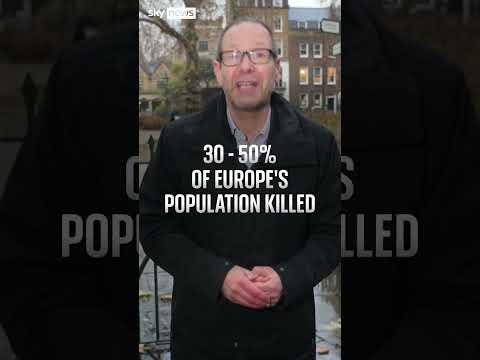 Did a volcanic eruption trigger the Black Death?