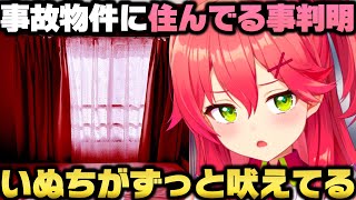 住んでる家が事故物件だと発覚して至急引っ越しの準備を進めるさくらみこ【ホロライブ/切り抜き/みこち】