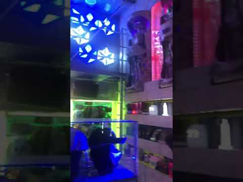 CYBERDOG, Camden Town, London, UK