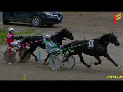 VI Corsa del 7 Gennaio 2022 - 5 Anni ed oltre - Metri 1600