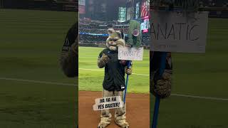 Baxter #baxter #mlbb #dbacks #diamondbacks #nlcs #phillies