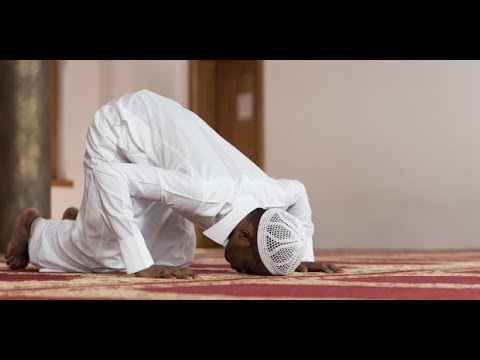 NEŠTO O TEHIJETUL MESDŽIDU || dr. Safet Kuduzović