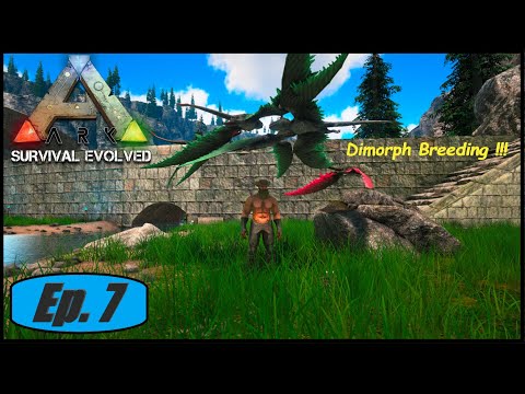 Dimorphodon Breeding ! Ark Fjordur Ep 7