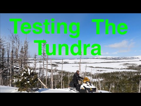 Tundra 600 ACE LT Ski-doo Vs Expedition 900 ACE (For picking in the woods) + Shout-Outs