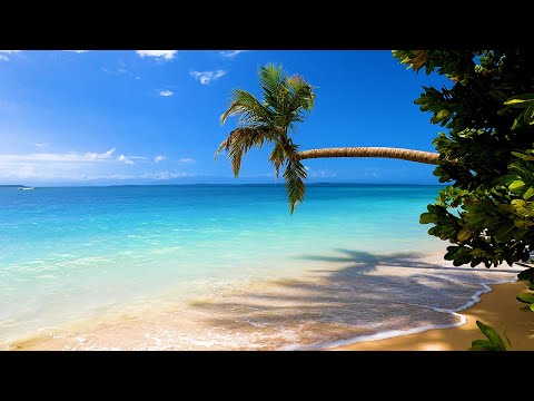 Island Relaxation: Tropical Beach Ambience & Ocean Sounds For Deep Sleep (4K Video)
