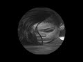 Rihanna Stay Ft Mikky Ekko S L O W E D R E V E R B Mr Low Pitch Remix