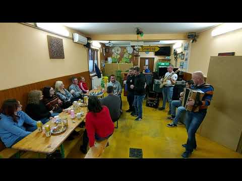 Ansambel Jarica - Najini spomini (Tine Lesjak)