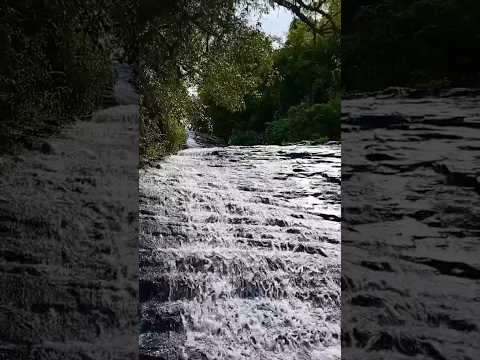 Cascata Dr Ricardo/RS. #naturezars #cascata  #riograndedosul #naturezasurpreendente