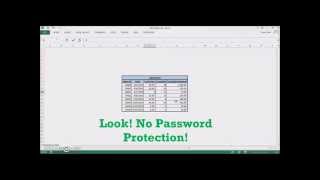 Removing Password Protection in Excel 2013