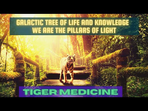 Galactic Tree of Life and Knowledge   We are the Pillars of Light ~ ZERO POINT FIELD OF THE INFINITE