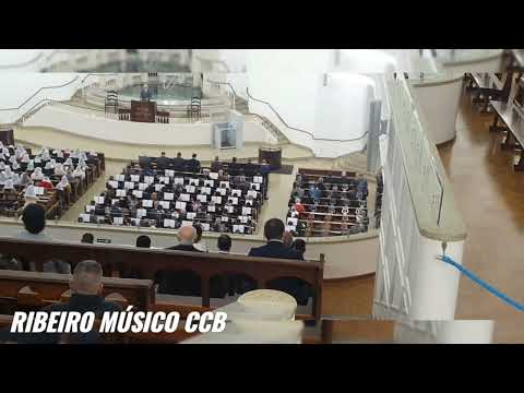 HINO 259 CCB - Só Triunfará o de Sincero Coração - HINÁRIO 5  CANTADO