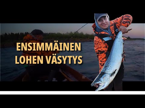 Tornionjoki Lohi: Onnistumisen riemua Matkakoskella