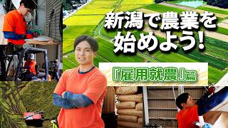 農業法人で働くには？【雇用就農篇】