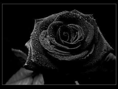 Al Kassim feat Ani05ta105 Buddha el Taga   Doubl'e