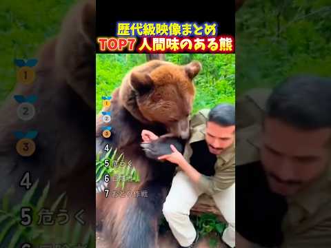海外でバズった表情豊かなクマのかわいい瞬間TOP7