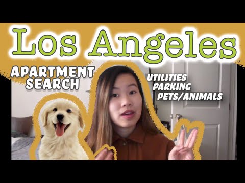 Tips for the Crazy Apartment Hunt in Los Angeles - Rent the right Home