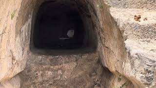 Video: Tour of King David's Tomb in the City of David, Jerusalem | Robert Breaker