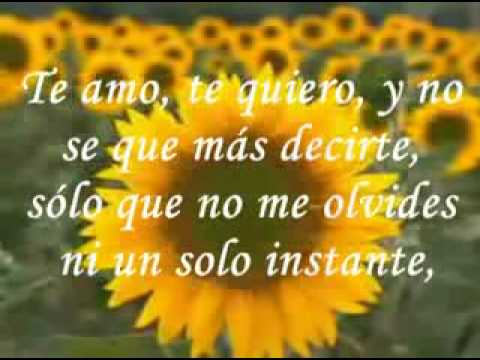 NUNCA CAMBIES- JOSE MARIA NAPOLEON