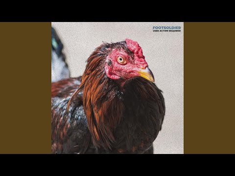 Return of the Bullshit King