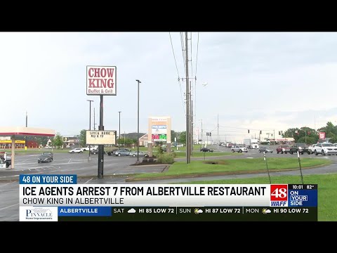Albertville Al Arrests