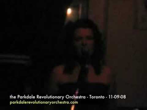 Dream - the Parkdale Revolutionary Orchestra - 11-09-08