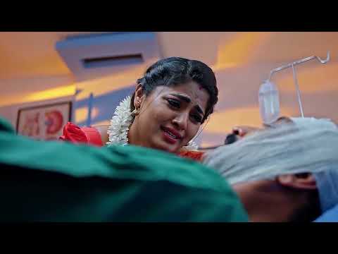 Janaki Ramayya Gari Manavaralu - Full Ep - 253 - Zee Telugu