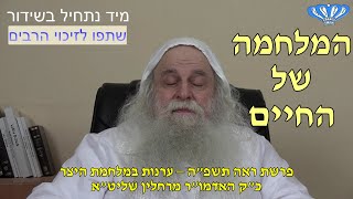 ערנות במלחמת היצר פרשת ראה תשפ"ה מאת כ"ק האדמו"ר מרחלין שליט"א (חסידות רחלין) - התמונה מוצגת ישירות מתוך אתר האינטרנט יוטיוב. זכויות היוצרים בתמונה שייכות ליוצרה. קישור קרדיט למקור התוכן נמצא בתוך דף הסרטון