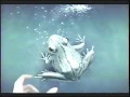 Dentyne Ice Frog Prince Commercial 2007